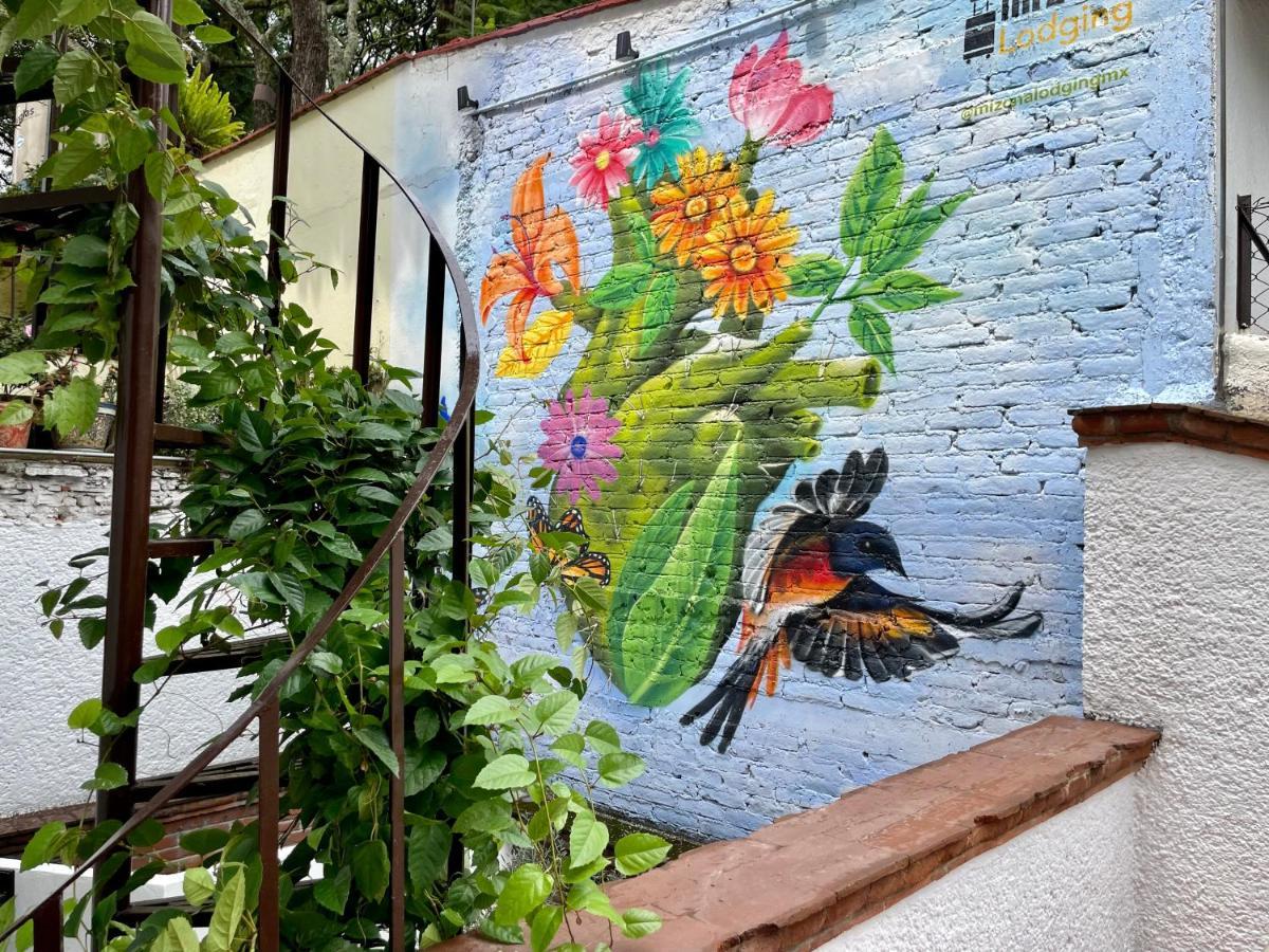 Mi Zona Lodging Coyoacan Meksika Dış mekan fotoğraf
