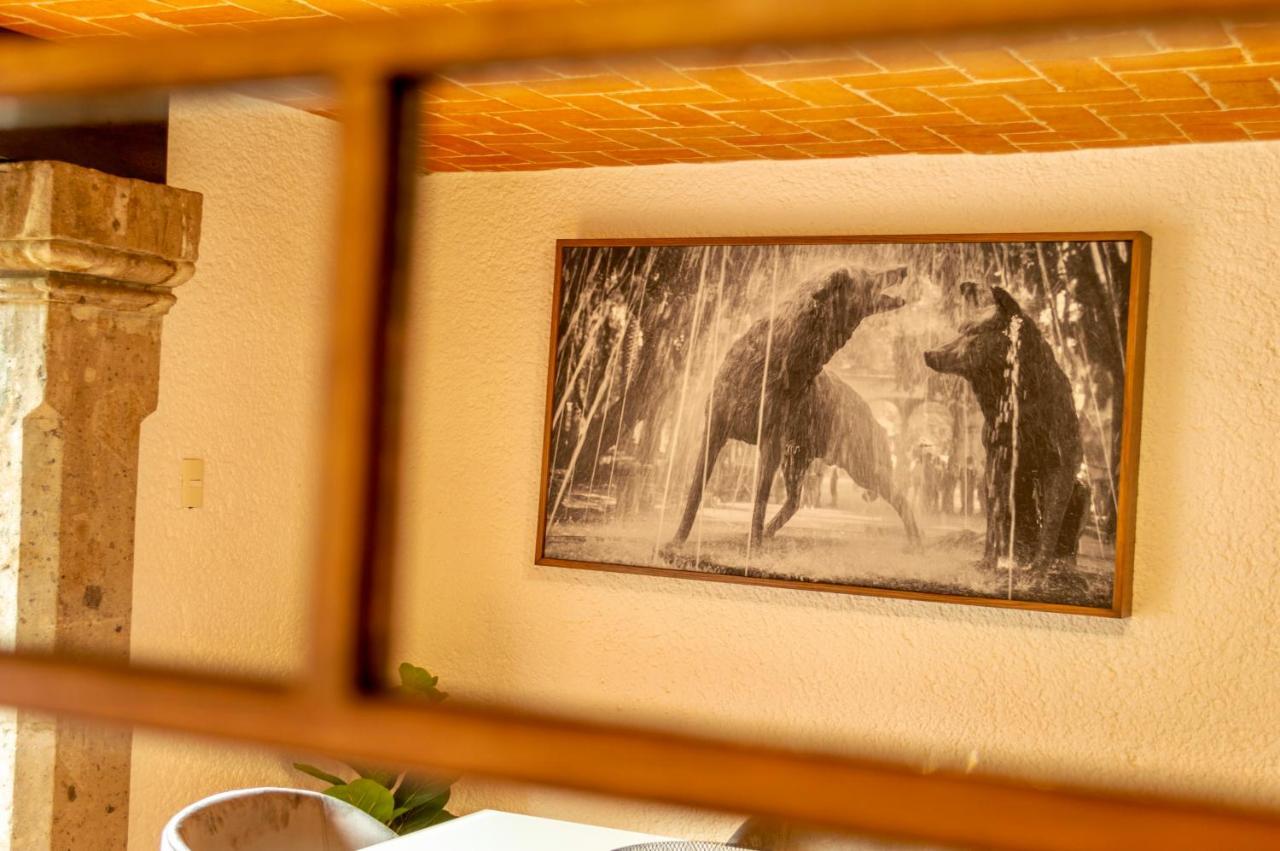 Mi Zona Lodging Coyoacan Meksika Dış mekan fotoğraf